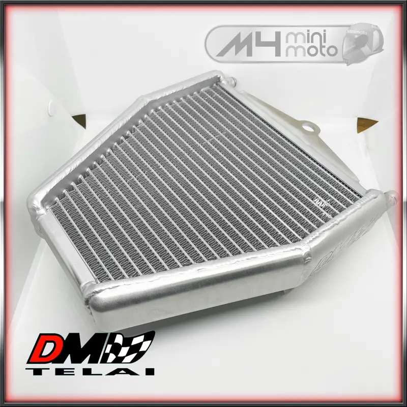 Dm Racing High-Performance Radiator 1