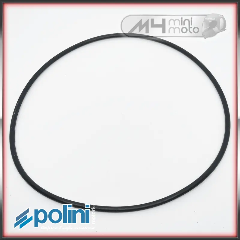 Polini 6-Inch Rear Wheel Waterpump Drive Belt 1