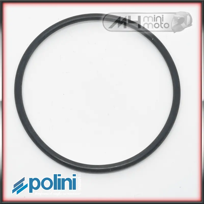 Polini Compact Waterpump Belt For Gp2, 911R & Gp Models 1